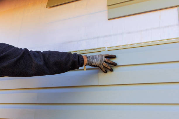 Affordable Siding Repair and Maintenance Services in Pemberville, OH